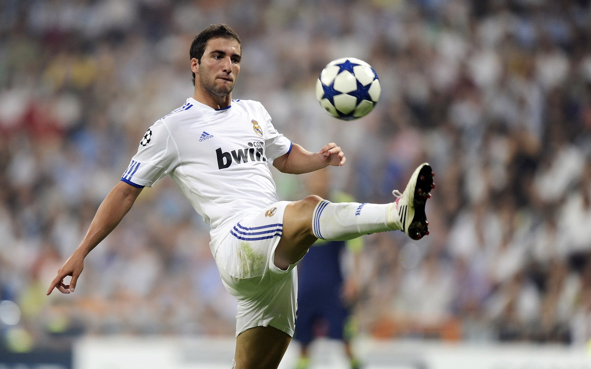 “马丁·高尔西的战术创新，助阿根廷美洲狮队稳步提升竞争力”